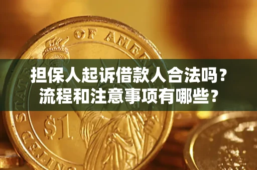 济南担保人起诉借款人合法吗？流程和注意事项有哪些？