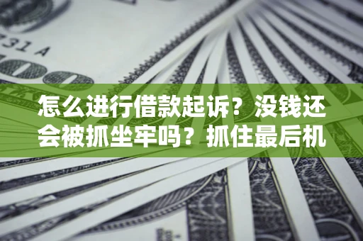 济南怎么进行借款起诉？没钱还会被抓坐牢吗？抓住最后机会！