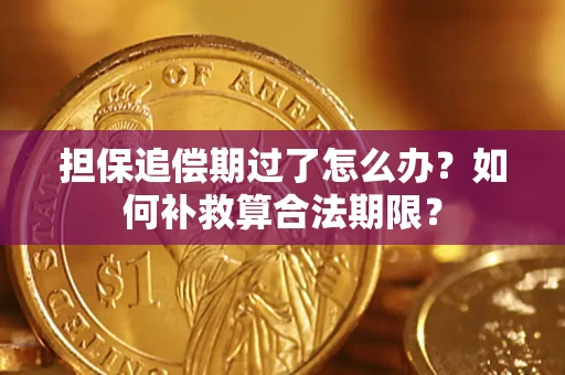 济南担保追偿期过了怎么办？如何补救算合法期限？